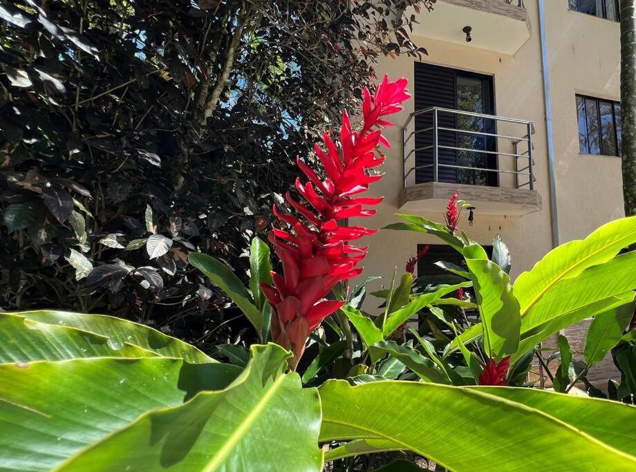 Toninhas, Mar E Natureza Apartamento